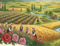 Повърхнина на България - равнини и низини